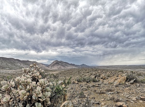 IMG_20200202_093542-01