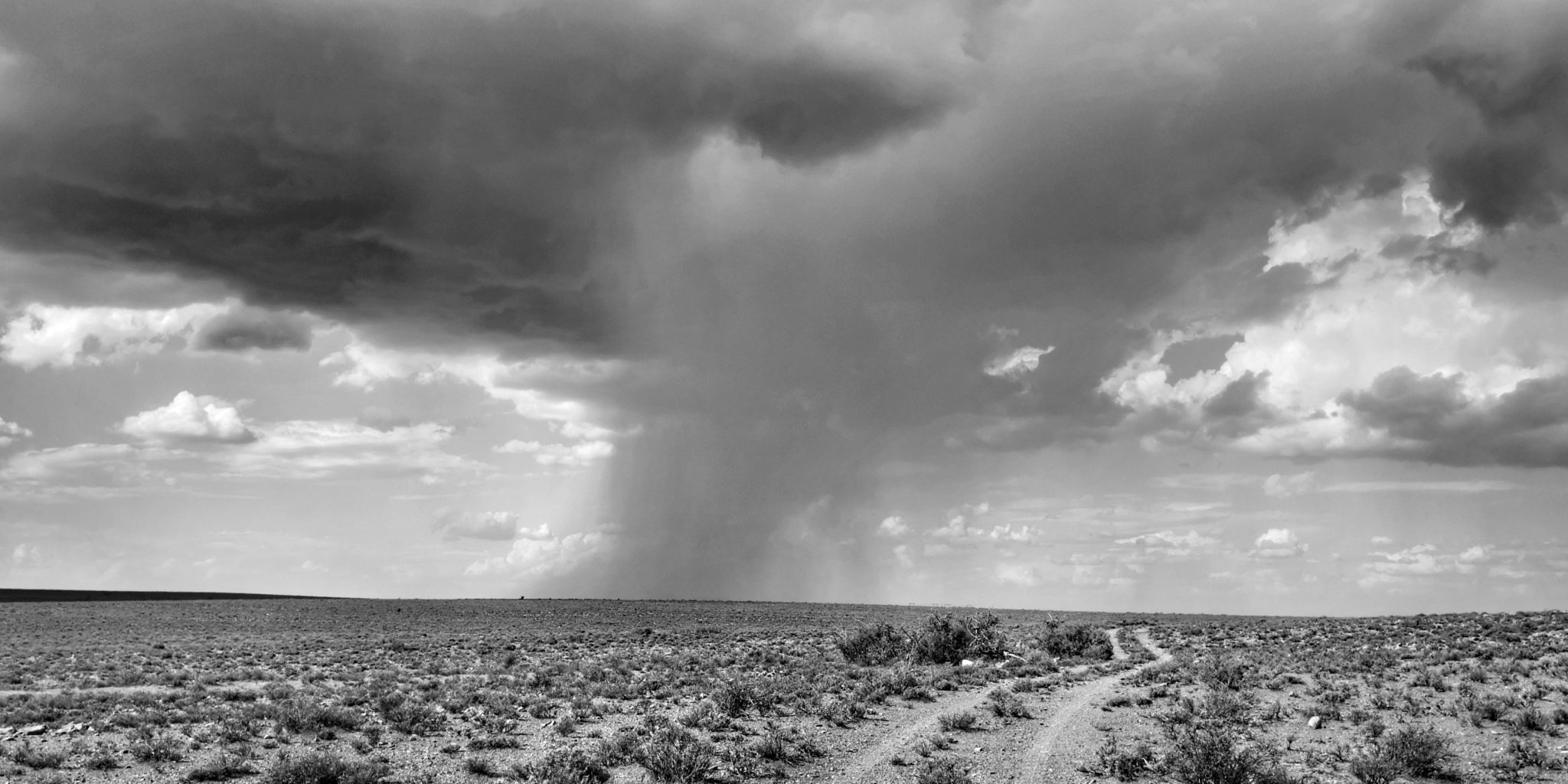 IMG_20200216_155449-01