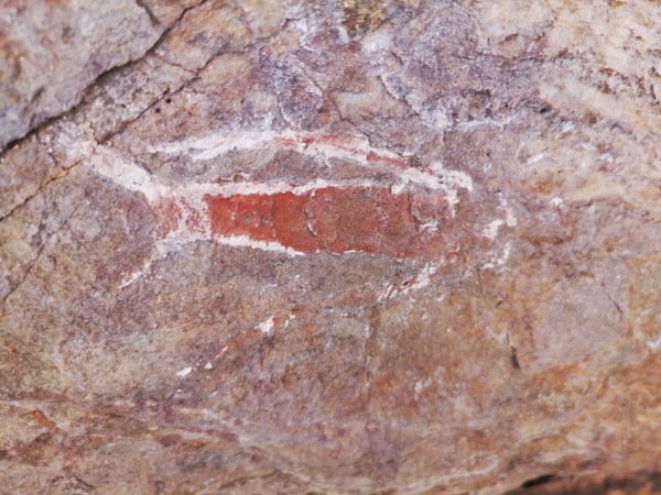 IMG_20200301_103549-01